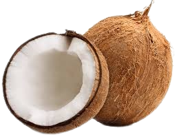 coconut