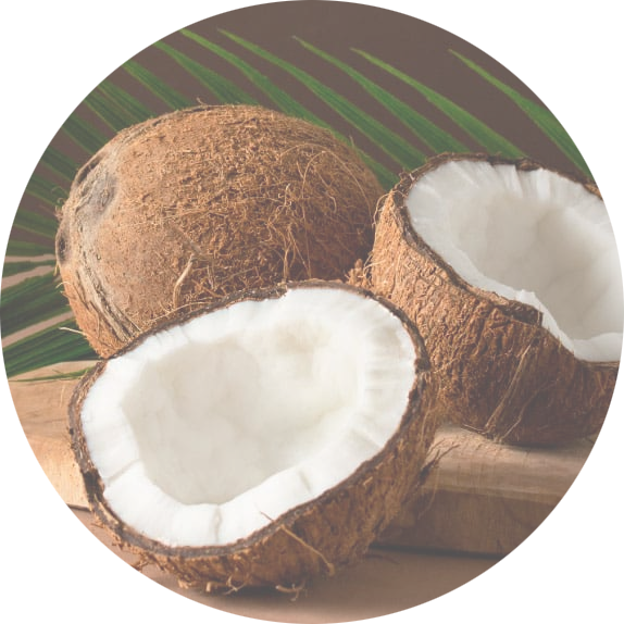 coconut_1