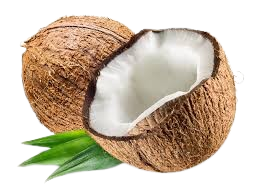 coconut_dixport